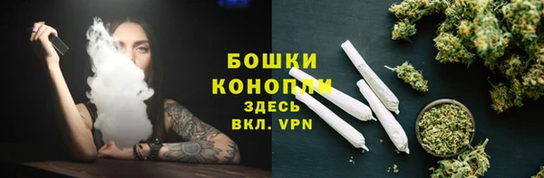 PSILOCYBIN Балабаново