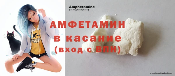 шишки Аркадак
