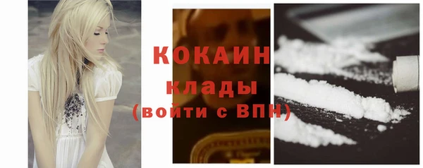 шишки Аркадак