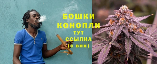 spice Баксан